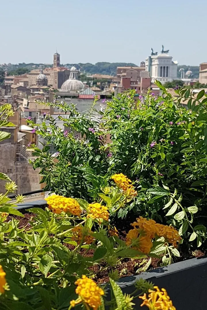 Monti Palace Hotel Rome